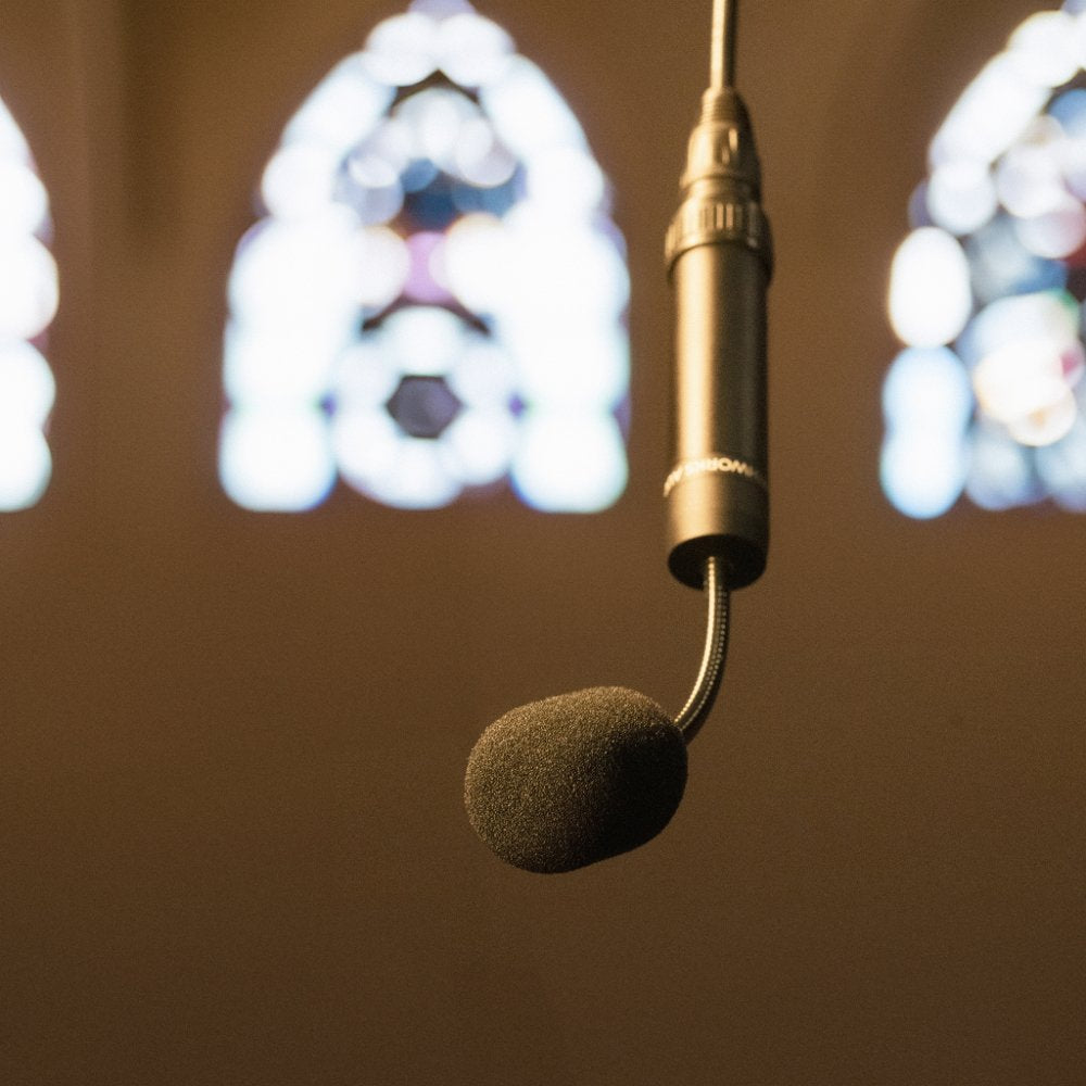 EARTHWORKS C30-S White — Microphone, studio recording microphone body