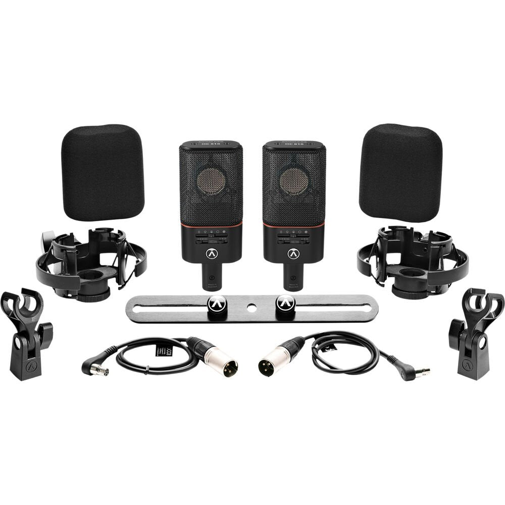 Two black studio microphones with accessories including clips, windscreens, cables, shock mounts, and a mounting bar.
