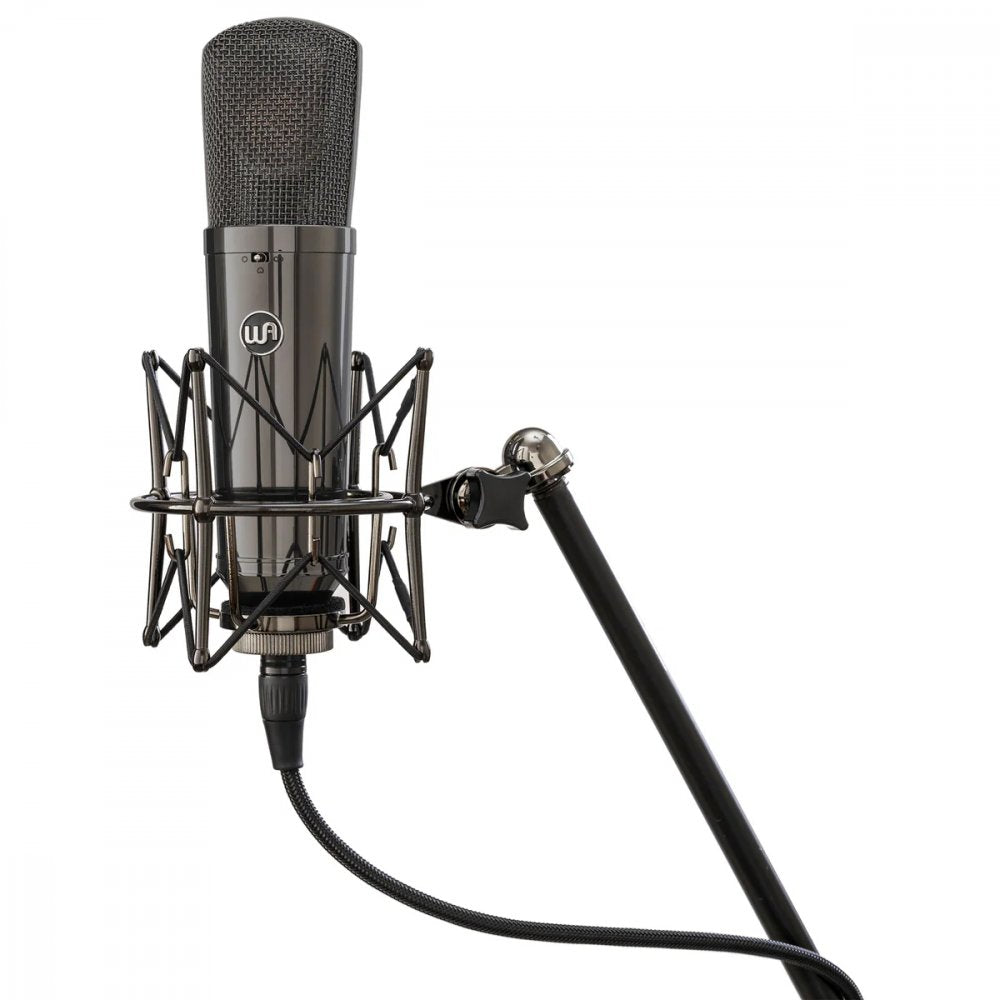 WARM AUDIO WA87-R2-TS — Microphone, studio recording microphone body