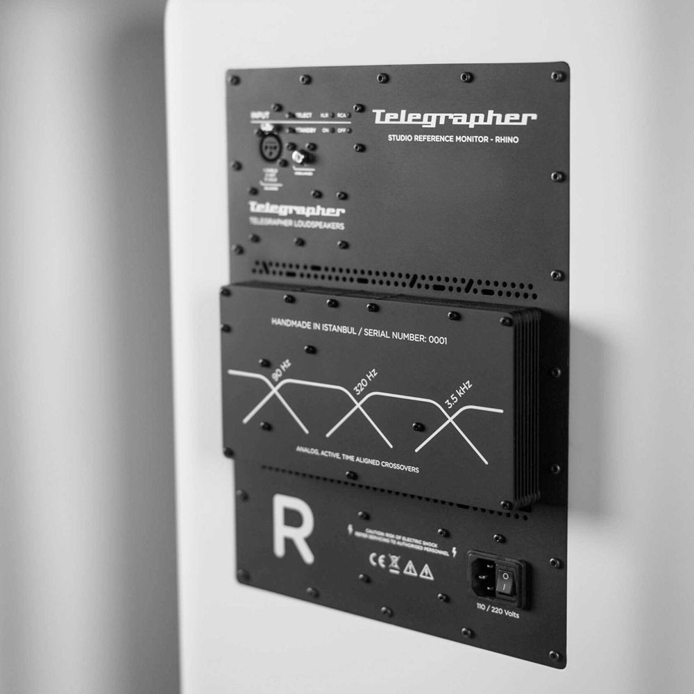 TELEGRAPHER RHINO (Trooper White) — Studio Monitor, nearfield reference loudspeaker