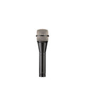 Black handheld microphone with silver mesh grille and model text 'PL80a' on the black body.