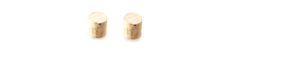 Two beige cork plugs on a white background.