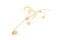 Beta 54 Supercardioid Headworn Mic with TQG Connector - Tan