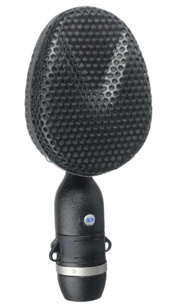 Black microphone with rounded, perforated mesh grille and silver band near the base against a white background.