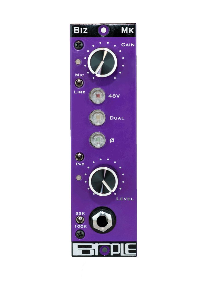 Front panel of a purple audio device with gain and level knobs, toggle switches, indicator lights, and a 1/4 inch input jack.
