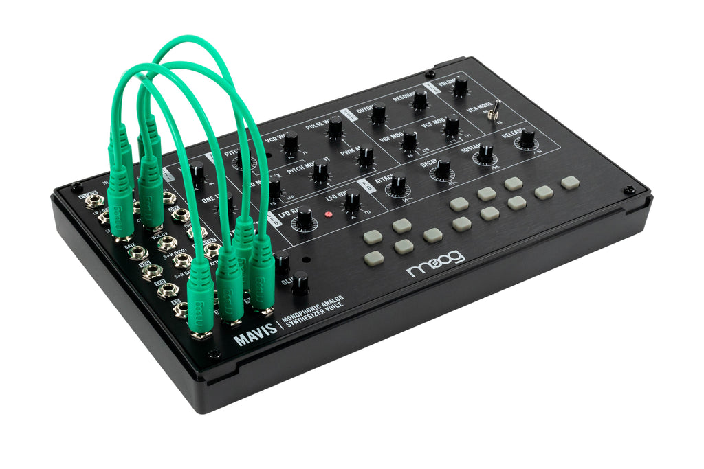 Moog Music Moog Mavis DIY Analog Synth Kit, keyboard synthesizer instrument