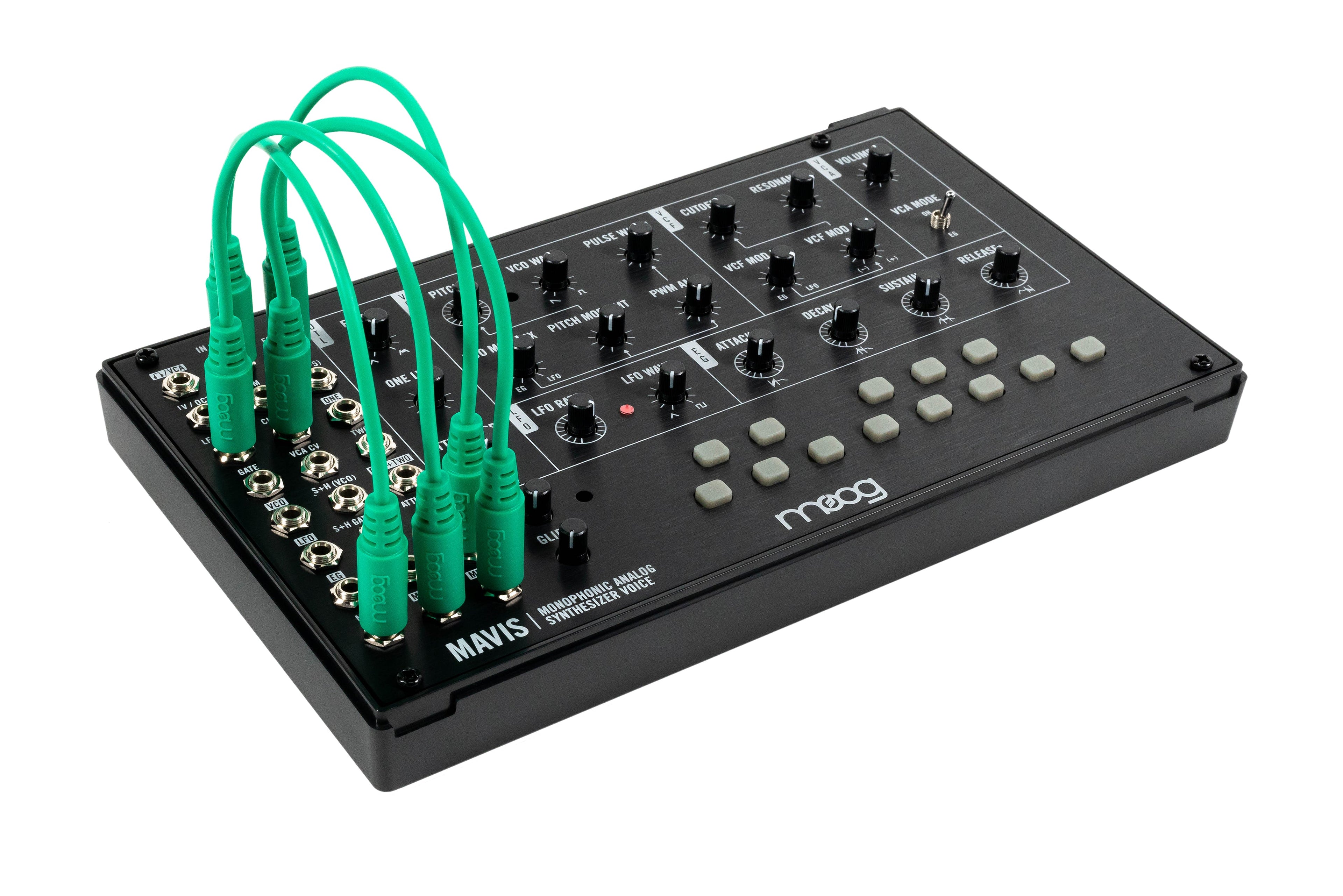 Moog Music Moog Mavis DIY Analog Synth Kit, keyboard synthesizer instrument