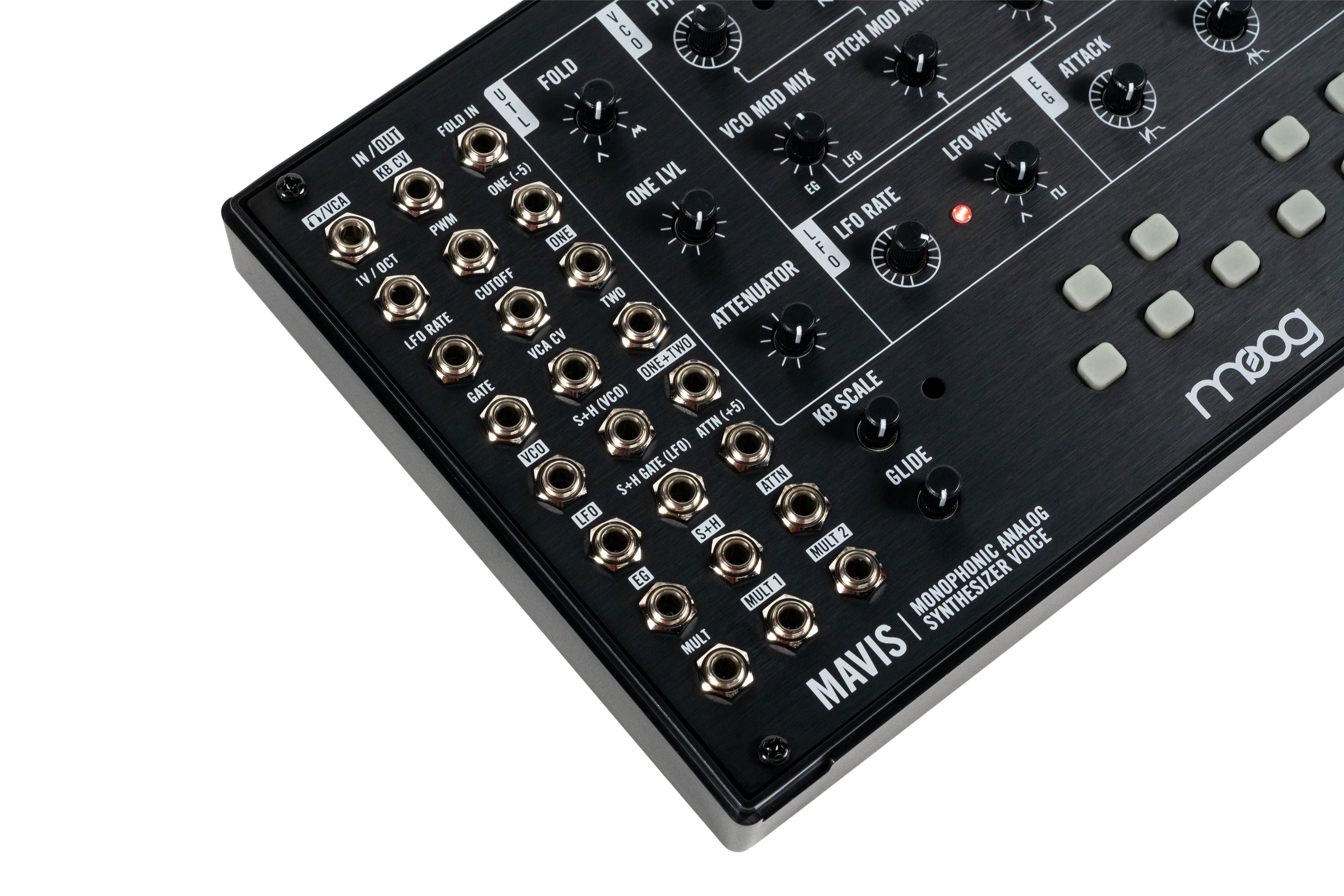 Moog Music Moog Mavis DIY Analog Synth Kit, keyboard synthesizer instrument