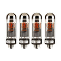 Four clear glass vacuum tubes with orange GT Groove Tubes branding and pin connectors at the base.