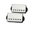 Two silver rectangular humbucker pickups with adjustment screws and black wiring.