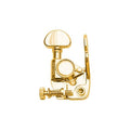 Gold-colored guitar tuning machine with adjustment screw and mounting hole.