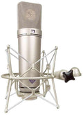 Silver large diaphragm studio microphone with shock mount and black tension knob on white background.
