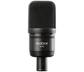 A133 Studio Condenser Microphone