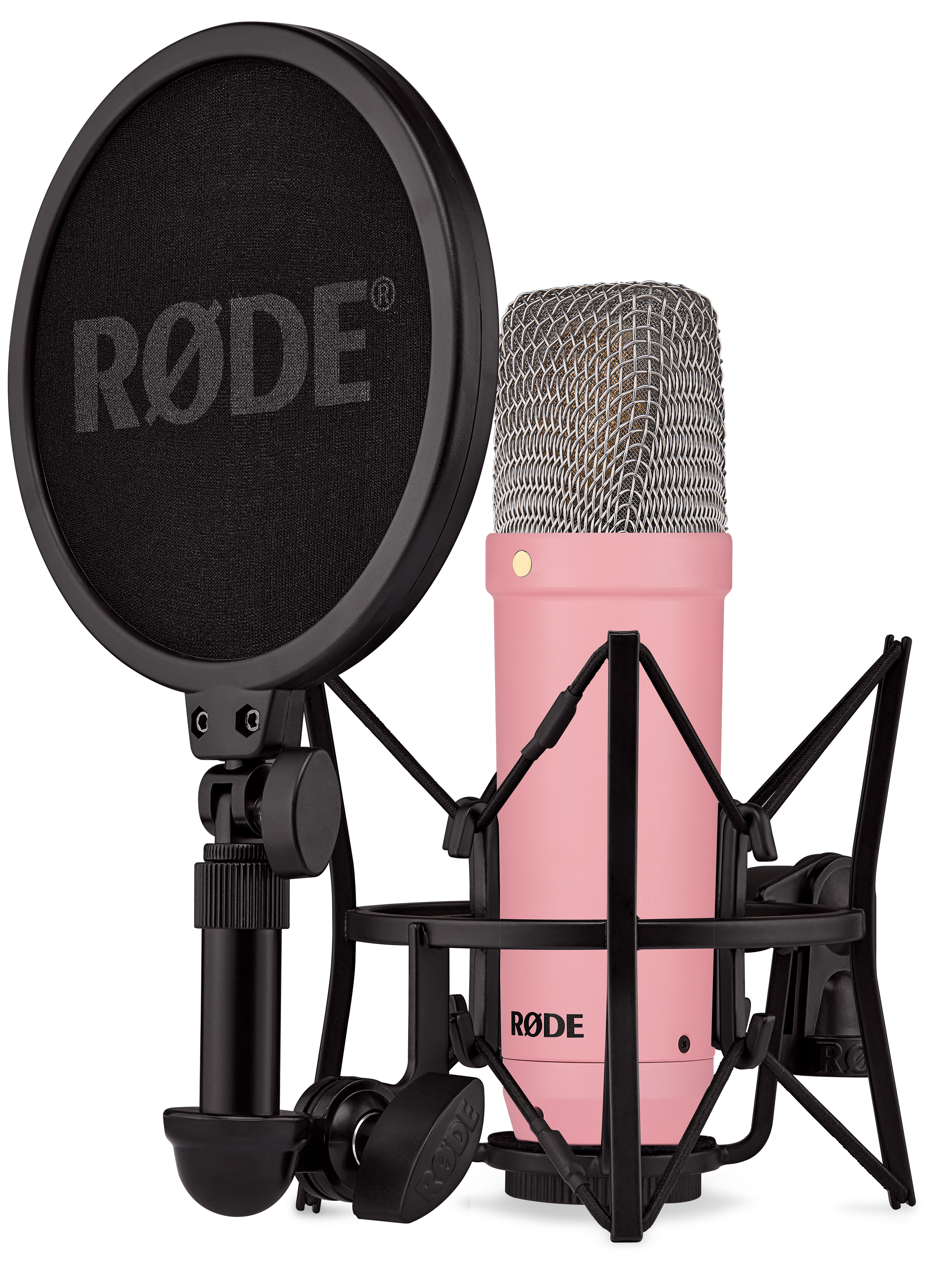 NT1 Signature Series Studio Condenser Microphone - Pink