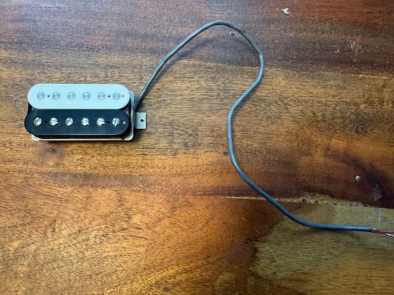 JWP/Jim Wagner Darkburst 2024 - Bridge Zebra