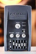 Grey Fishman Pro EQ Platinum equalizer pedal with knobs, sliders, and switches for volume, gain, and tone adjustment.