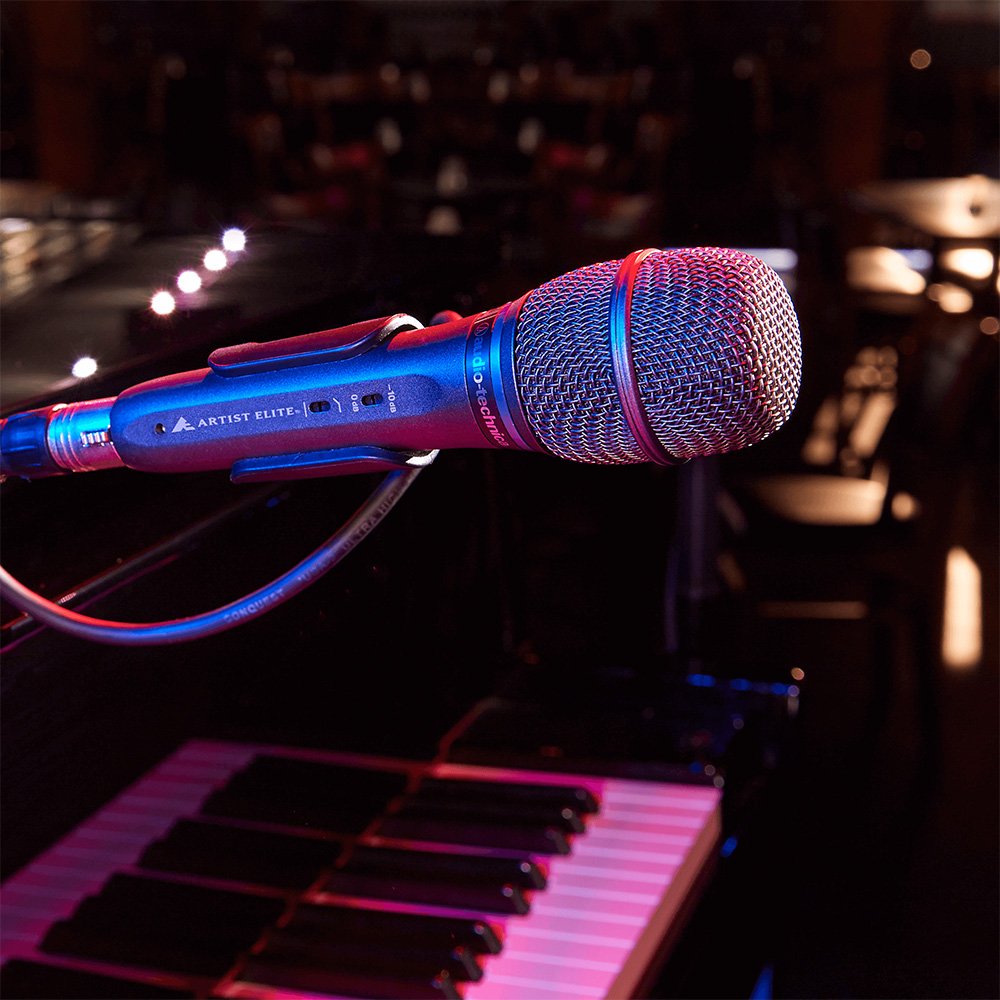 AUDIO-TECHNICA AE3300 — Microphone, studio recording microphone body