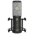 OC-S10 Large-Diaphragm Condenser Microphone