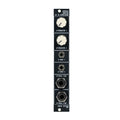Black panel eurorack module with two knobs and four audio jack connectors arranged vertically.