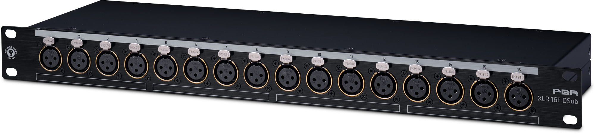 BLACK LION AUDIO PBR XLR 16F DSub — Patchbay