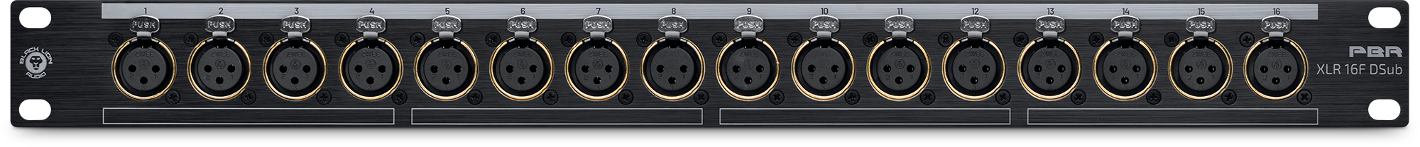 BLACK LION AUDIO PBR XLR 16F DSub — Patchbay