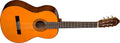 Washburn Nylon-string Classical Acoustic Guitar with Spruce Top, Catalpa Back and Sides, Mahogany Neck C5-WSH-A