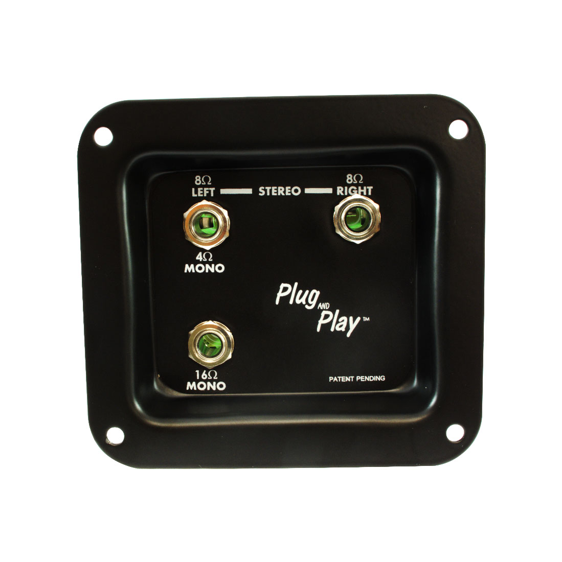 Black jack plate with three 1/4 inch jacks labeled for mono and stereo speaker connections.