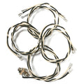 Wiring harness with multiple black and white insulated wires and metal spade connectors.