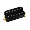 Black and gold electric guitar dual-coil pickup with adjustable pole pieces.