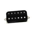 Black humbucker guitar pickup with six adjustable pole screws on one coil and six smooth pole pieces on the other.