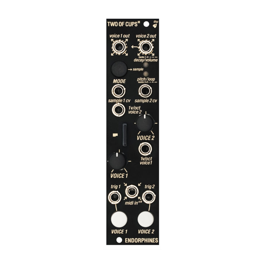 Black Eurorack module with multiple knobs, buttons, 3.5mm jacks, and MIDI input labeled Two Of Cups M by Endorphines.