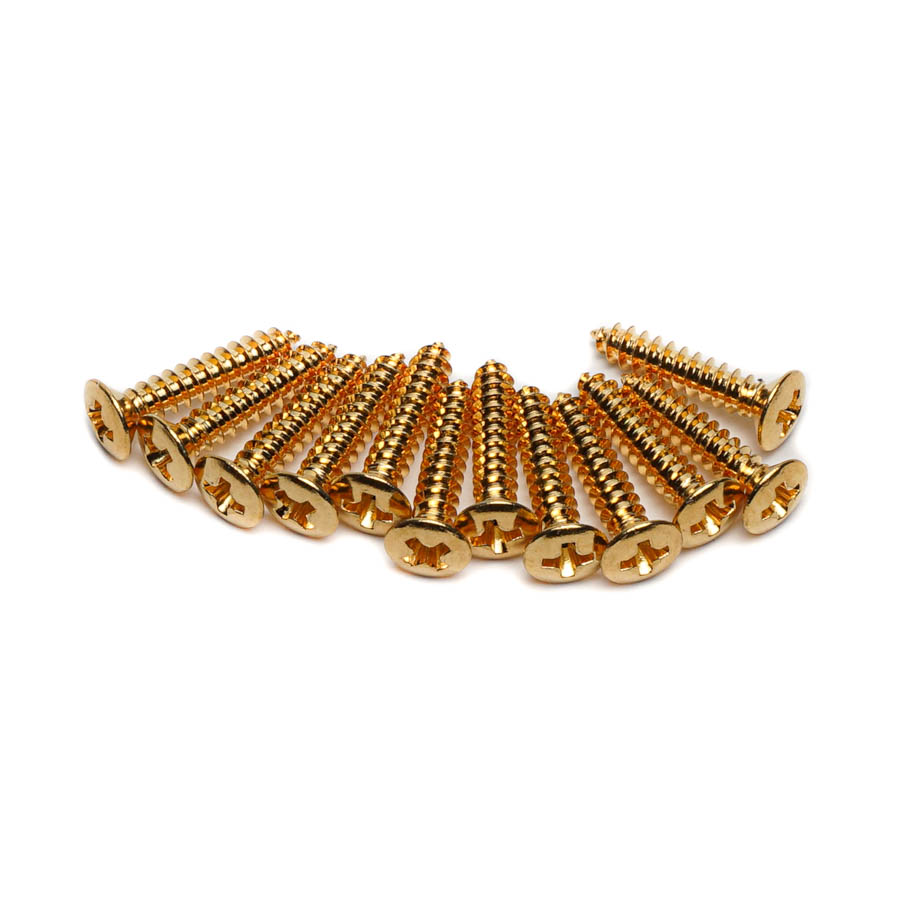 Twelve gold-colored Phillips head mounting screws arranged in a curved line on a white background.