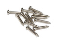 A group of twelve silver metal screws with rounded heads on a white background.