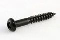 Single black round Phillips-head screw with coarse threads on a white background.