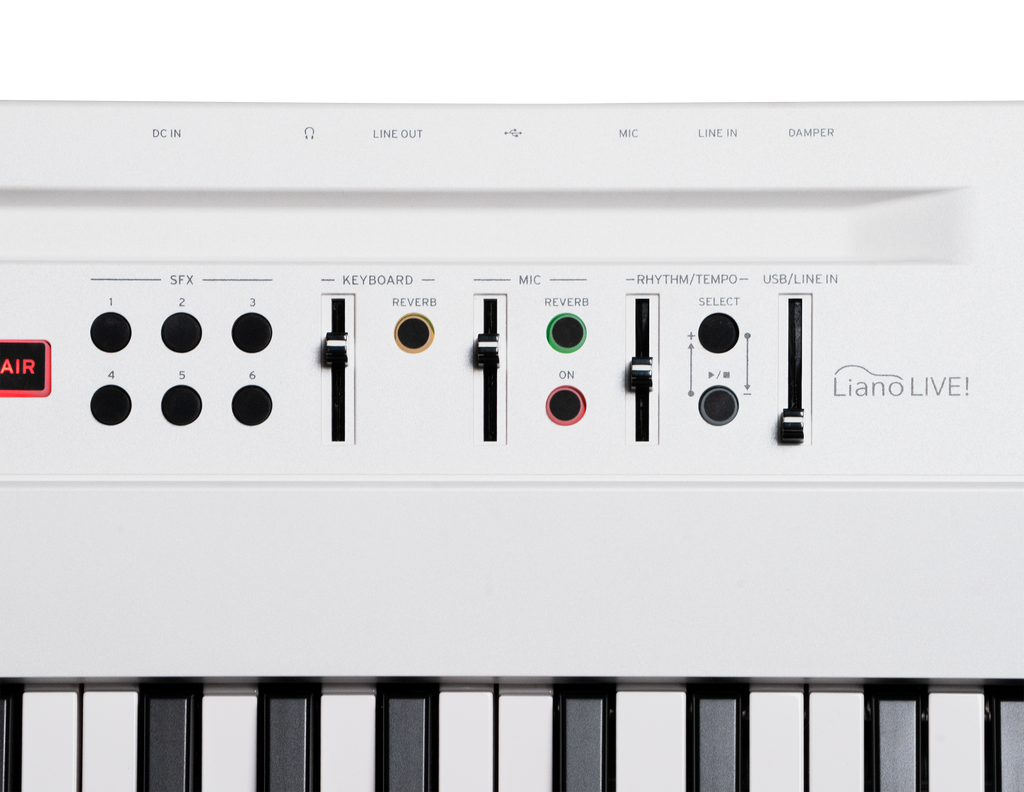 KORG L1 LIVE — Synthesizer