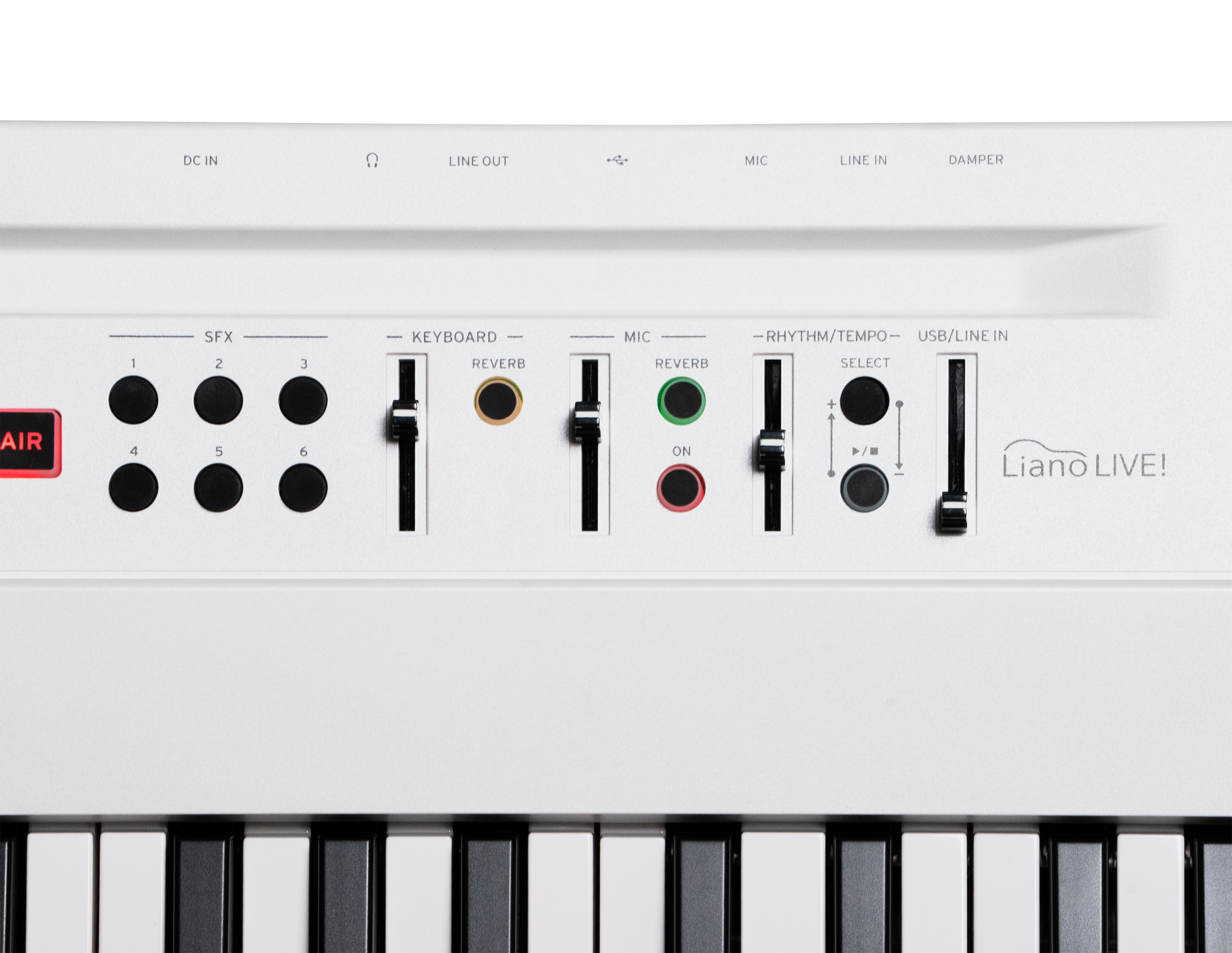 KORG L1 LIVE — Synthesizer