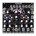Black eurorack module with multiple knobs, toggle switch, and 1/8 inch jacks labeled MultiWAVE