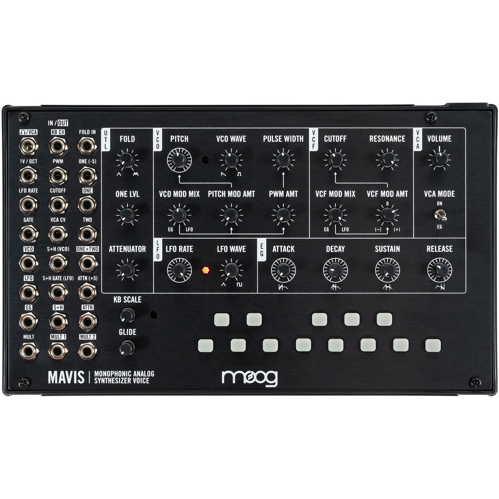 Black Moog Mavis monophonic analog synthesizer with knobs, patch jacks, buttons, and logo on the front panel.