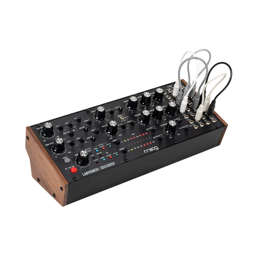 Moog Labyrinth — Synthesizer