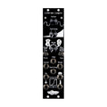 Black eurorack module with knobs, toggle switches, and multiple 1/8 inch audio jacks labeled with parameters and connections.