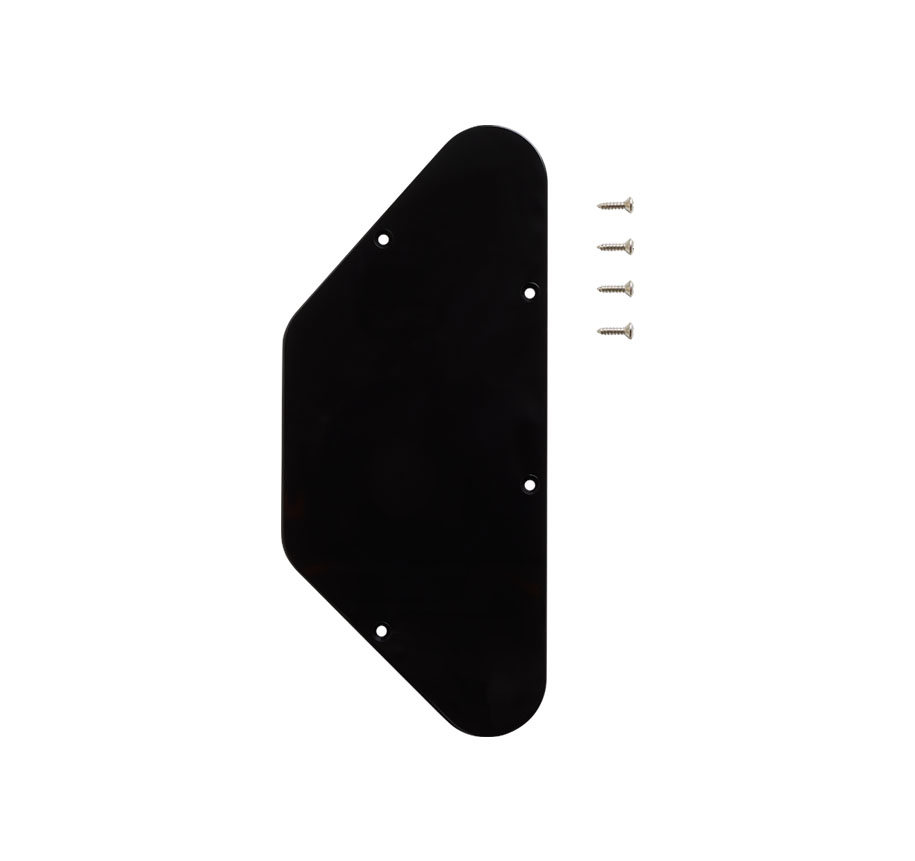 Black plastic control plate with four silver screws on a white background.