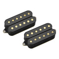 Pair of black humbucker guitar pickups with gold poles and Fishman branding.