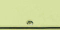 Small portion of a mint green pickguard blank against a plain background.