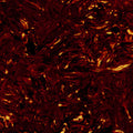 Close-up view of a dark red and amber tortoise shell pattern on a pickguard blank surface.
