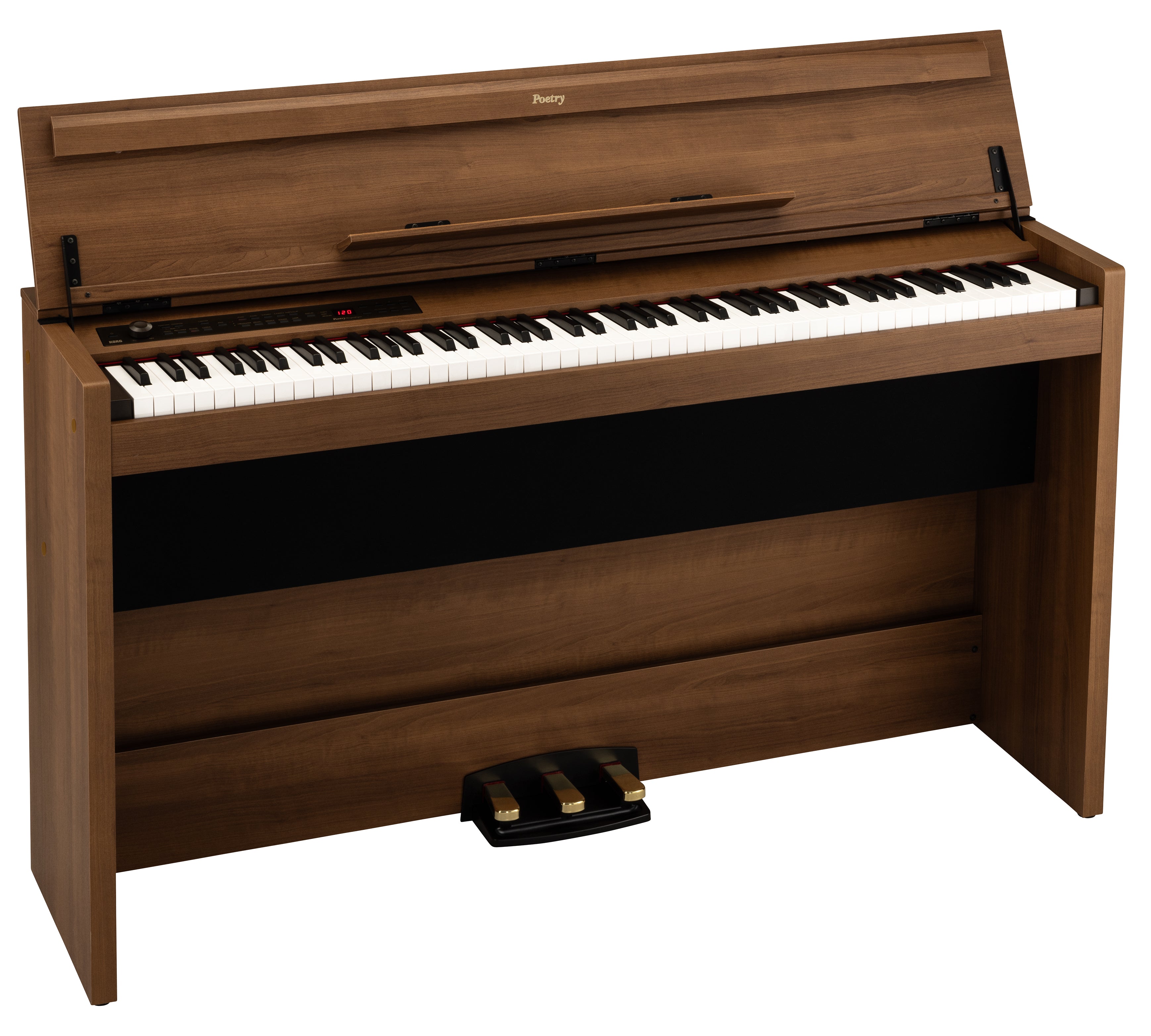 KORG POETRY Magnifique — Synthesizer
