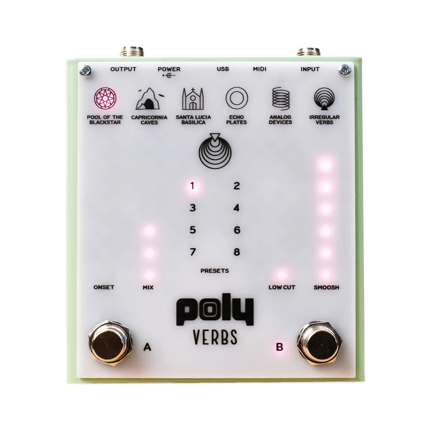 Top view of a Poly Effects Verbs pedal with footswitches, various labeled presets, USB and MIDI ports, and LED indicators.