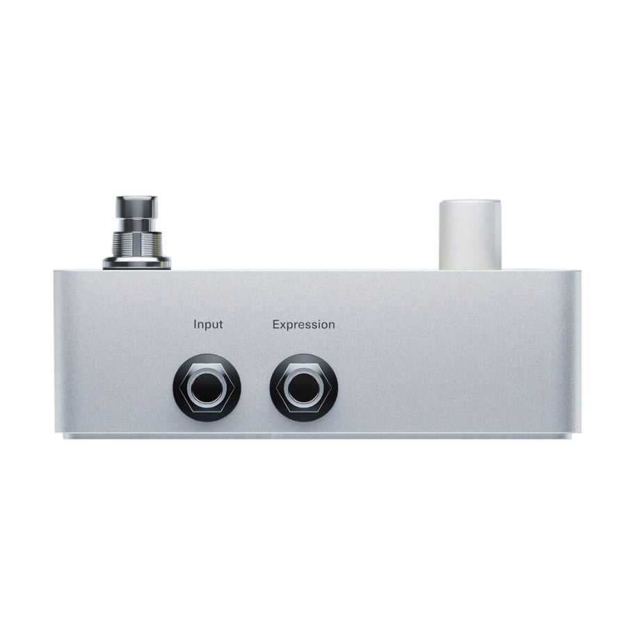 Polyend Endless — Delay Pedal