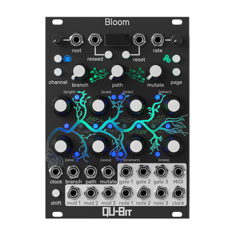 Front panel of a black Qu-Bit Electronix Bloom module with knobs, buttons, and multiple jacks including MIDI and 1/8 inch audio connectors.