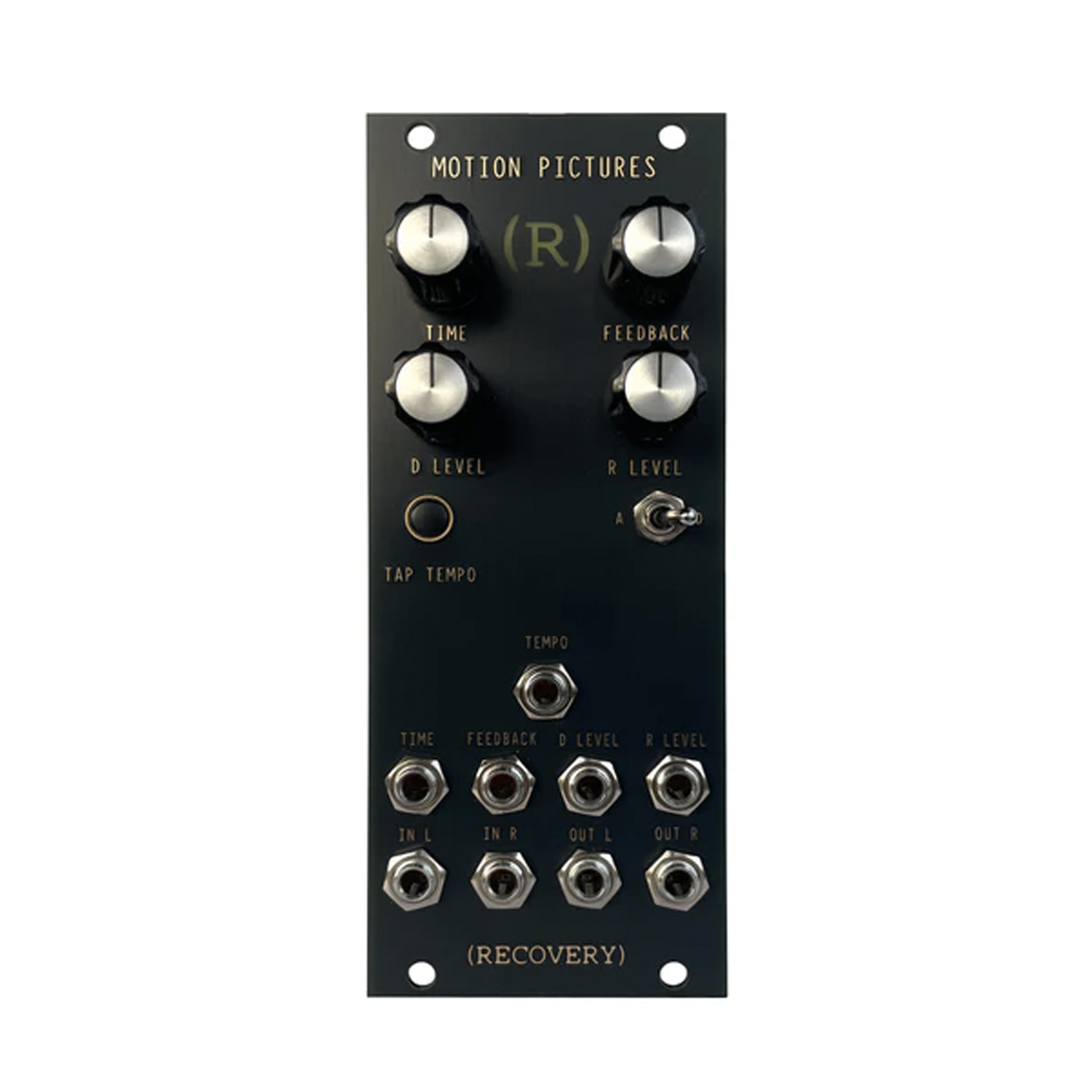 Black eurorack module with knobs, toggle switch, button, and multiple jack sockets labeled for audio control.