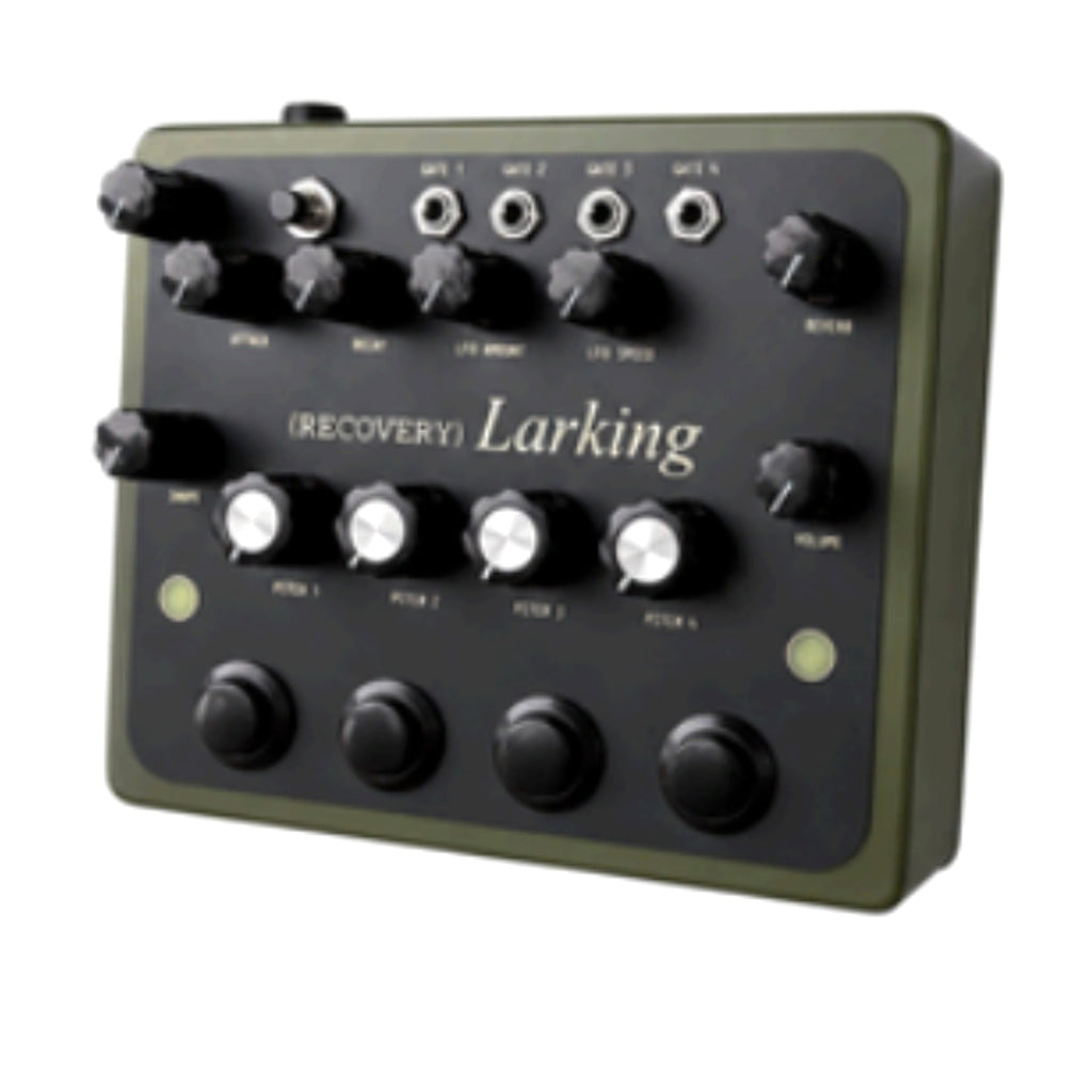 Recovery Larking, keyboard synthesizer instrument